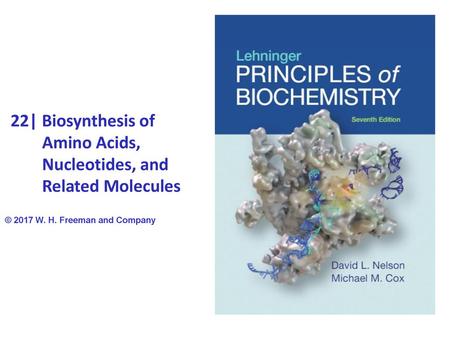 22| Biosynthesis of Amino Acids, Nucleotides, and Related Molecules