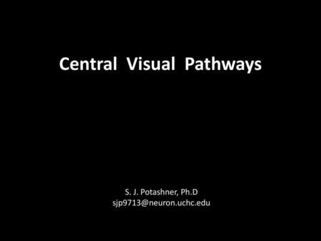 Central Visual Pathways