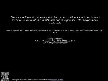 Presence of the brain proteins cerebral cavernous malformation-2 and cerebral cavernous malformation-3 in rat testes and their potential role in experimental.