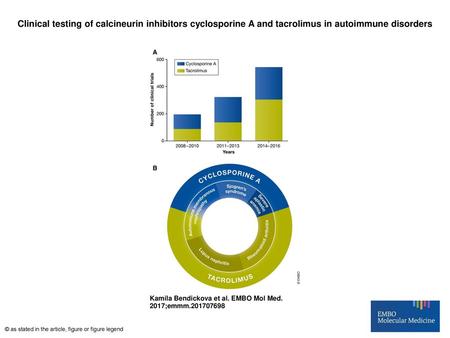 Clinical testing of calcineurin inhibitors cyclosporine A and tacrolimus in autoimmune disorders Clinical testing of calcineurin inhibitors cyclosporine.