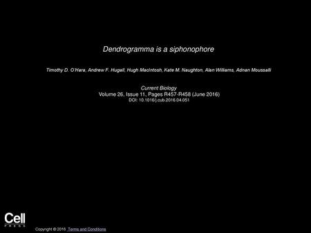 Dendrogramma is a siphonophore