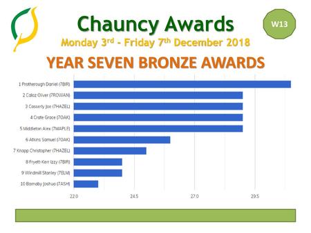 YEAR SEVEN BRONZE AWARDS