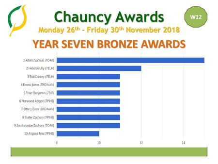 YEAR SEVEN BRONZE AWARDS