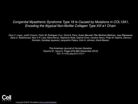 Congenital Myasthenic Syndrome Type 19 Is Caused by Mutations in COL13A1, Encoding the Atypical Non-fibrillar Collagen Type XIII α1 Chain  Clare V. Logan,