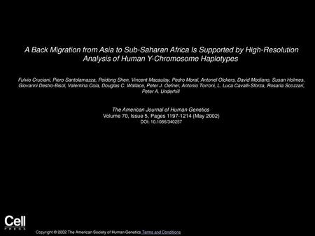 A Back Migration from Asia to Sub-Saharan Africa Is Supported by High-Resolution Analysis of Human Y-Chromosome Haplotypes  Fulvio Cruciani, Piero Santolamazza,