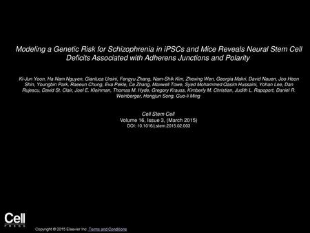 Modeling a Genetic Risk for Schizophrenia in iPSCs and Mice Reveals Neural Stem Cell Deficits Associated with Adherens Junctions and Polarity  Ki-Jun.