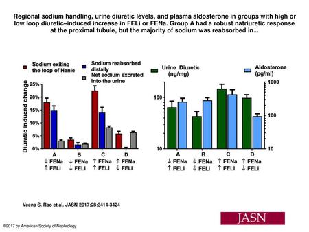 Regional sodium handling, urine diuretic levels, and plasma aldosterone in groups with high or low loop diuretic–induced increase in FELi or FENa. Group.