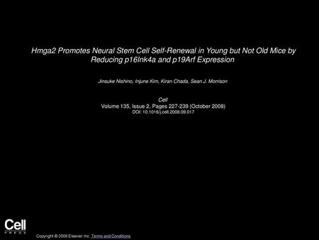 Hmga2 Promotes Neural Stem Cell Self-Renewal in Young but Not Old Mice by Reducing p16Ink4a and p19Arf Expression  Jinsuke Nishino, Injune Kim, Kiran.