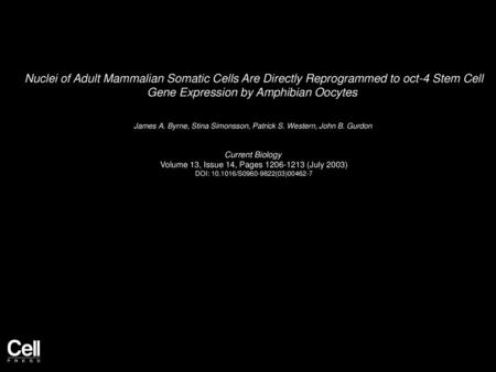 Nuclei of Adult Mammalian Somatic Cells Are Directly Reprogrammed to oct-4 Stem Cell Gene Expression by Amphibian Oocytes  James A. Byrne, Stina Simonsson,