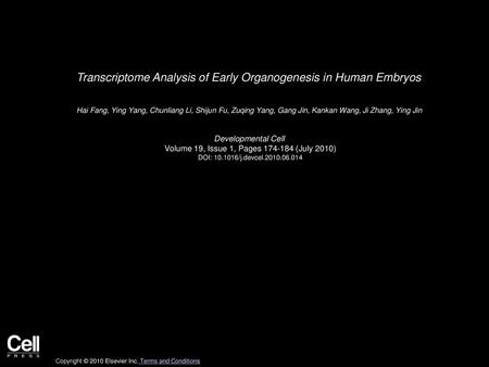 Transcriptome Analysis of Early Organogenesis in Human Embryos