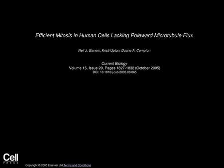 Efficient Mitosis in Human Cells Lacking Poleward Microtubule Flux