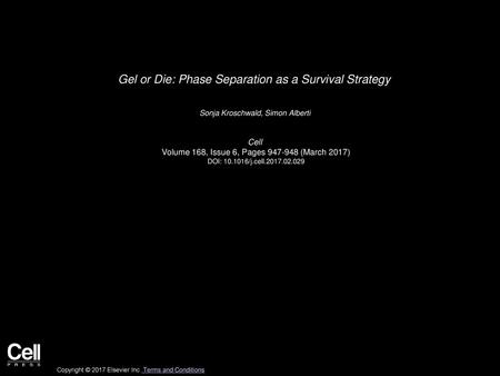 Gel or Die: Phase Separation as a Survival Strategy