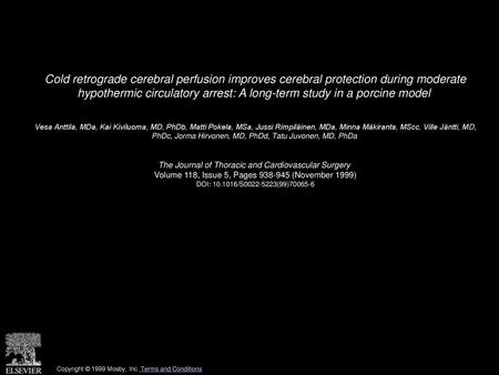 Cold retrograde cerebral perfusion improves cerebral protection during moderate hypothermic circulatory arrest: A long-term study in a porcine model 