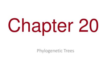 Chapter 20 Phylogenetic Trees.