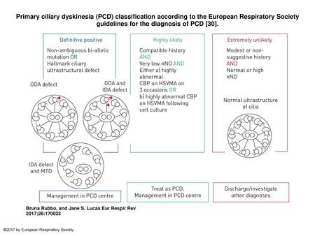 Primary ciliary dyskinesia (PCD) classification according to the European Respiratory Society guidelines for the diagnosis of PCD [30]. Primary ciliary.