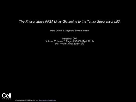 The Phosphatase PP2A Links Glutamine to the Tumor Suppressor p53