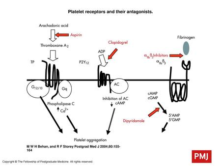 Platelet receptors and their antagonists.