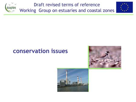 Draft revised terms of reference Working Group on estuaries and coastal zones conservation issues.