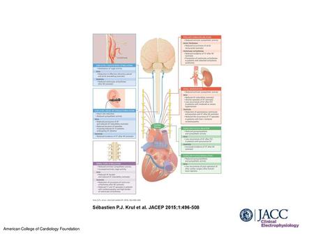 Sébastien P.J. Krul et al. JACEP 2015;1: