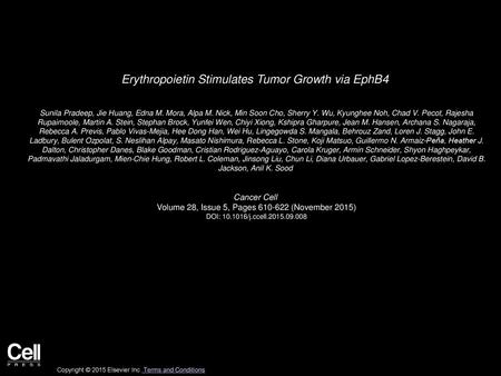 Erythropoietin Stimulates Tumor Growth via EphB4