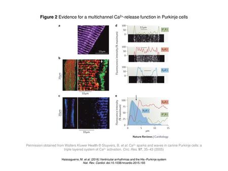 Nat. Rev. Cardiol. doi: /nrcardio