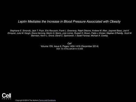 Leptin Mediates the Increase in Blood Pressure Associated with Obesity