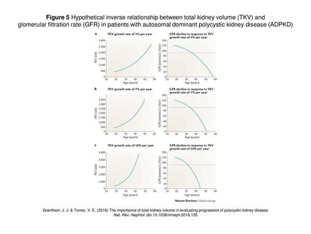 Nat. Rev. Nephrol. doi: /nrneph