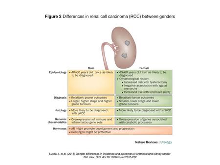 Figure 3 Differences in renal cell carcinoma (RCC) between genders