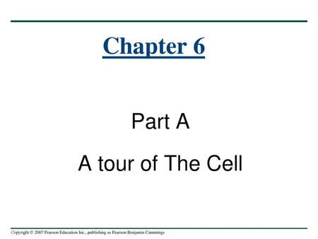 Chapter 6 Part A A tour of The Cell.