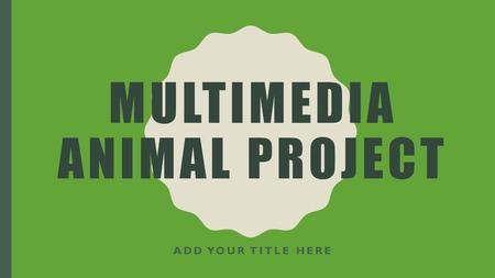 Multimedia Animal Project