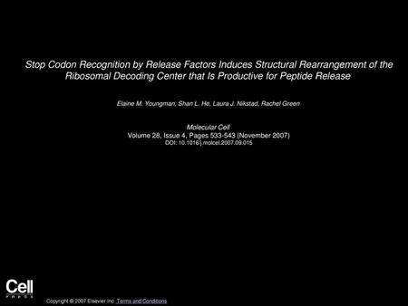 Stop Codon Recognition by Release Factors Induces Structural Rearrangement of the Ribosomal Decoding Center that Is Productive for Peptide Release  Elaine.