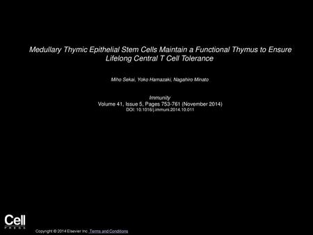 Medullary Thymic Epithelial Stem Cells Maintain a Functional Thymus to Ensure Lifelong Central T Cell Tolerance  Miho Sekai, Yoko Hamazaki, Nagahiro Minato 