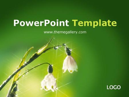 PowerPoint Template www.themegallery.com.