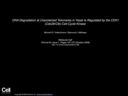 DNA Degradation at Unprotected Telomeres in Yeast Is Regulated by the CDK1 (Cdc28/Clb) Cell-Cycle Kinase  Momchil D. Vodenicharov, Raymund J. Wellinger 