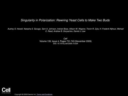 Singularity in Polarization: Rewiring Yeast Cells to Make Two Buds