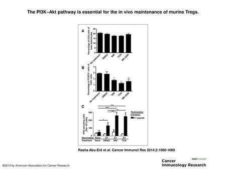 The PI3K–Akt pathway is essential for the in vivo maintenance of murine Tregs. The PI3K–Akt pathway is essential for the in vivo maintenance of murine.