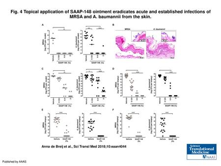 Fig. 4 Topical application of SAAP-148 ointment eradicates acute and established infections of MRSA and A. baumannii from the skin. Topical application.