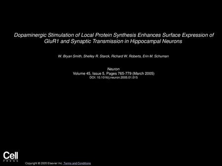 Dopaminergic Stimulation of Local Protein Synthesis Enhances Surface Expression of GluR1 and Synaptic Transmission in Hippocampal Neurons  W. Bryan Smith,