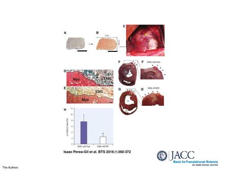 Isaac Perea-Gil et al. BTS 2016;1: