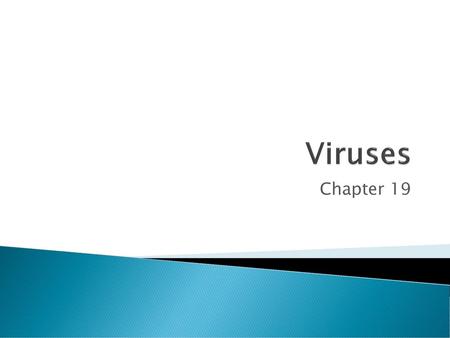 Viruses Chapter 19.