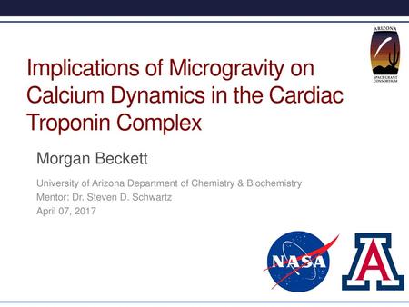 Implications of Microgravity on Calcium Dynamics in the Cardiac Troponin Complex Morgan Beckett University of Arizona Department of Chemistry & Biochemistry.