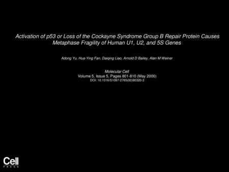 Activation of p53 or Loss of the Cockayne Syndrome Group B Repair Protein Causes Metaphase Fragility of Human U1, U2, and 5S Genes  Adong Yu, Hua-Ying.