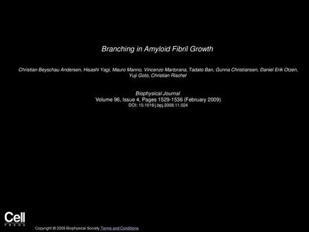 Branching in Amyloid Fibril Growth