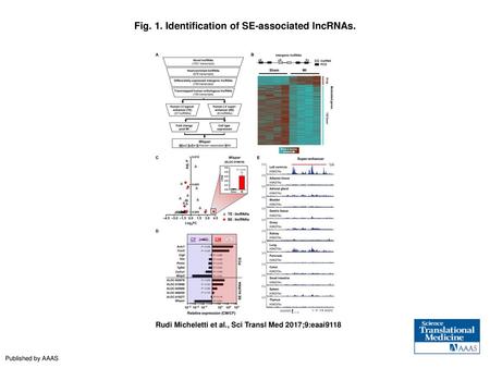 Fig. 1. Identification of SE-associated lncRNAs.