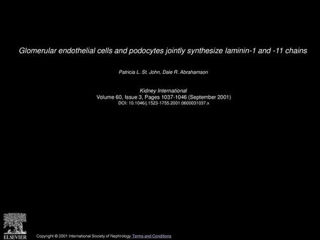 Patricia L. St. John, Dale R. Abrahamson  Kidney International 