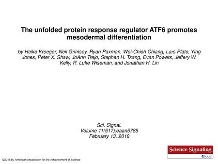 The unfolded protein response regulator ATF6 promotes mesodermal differentiation by Heike Kroeger, Neil Grimsey, Ryan Paxman, Wei-Chieh Chiang, Lars Plate,