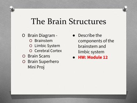 The Brain Structures Brain Diagram -