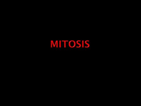 Mitosis.