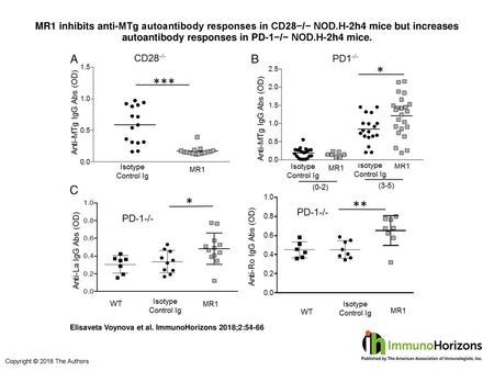 MR1 inhibits anti-MTg autoantibody responses in CD28−/− NOD