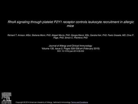 RhoA signaling through platelet P2Y1 receptor controls leukocyte recruitment in allergic mice  Richard T. Amison, MSci, Stefania Momi, PhD, Abigail Morris,